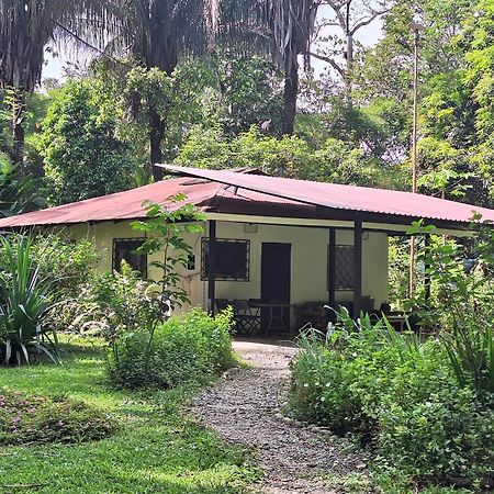 Four Monkeys Eco Lodge Jungle & Beach - The House Cabo Matapalo Buitenkant foto