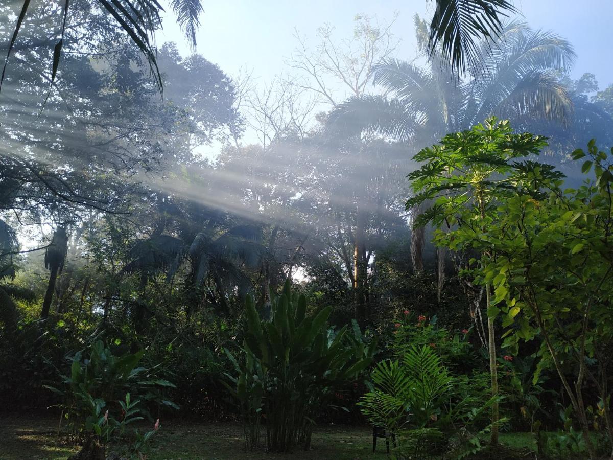 Four Monkeys Eco Lodge Jungle & Beach - The House Cabo Matapalo Buitenkant foto