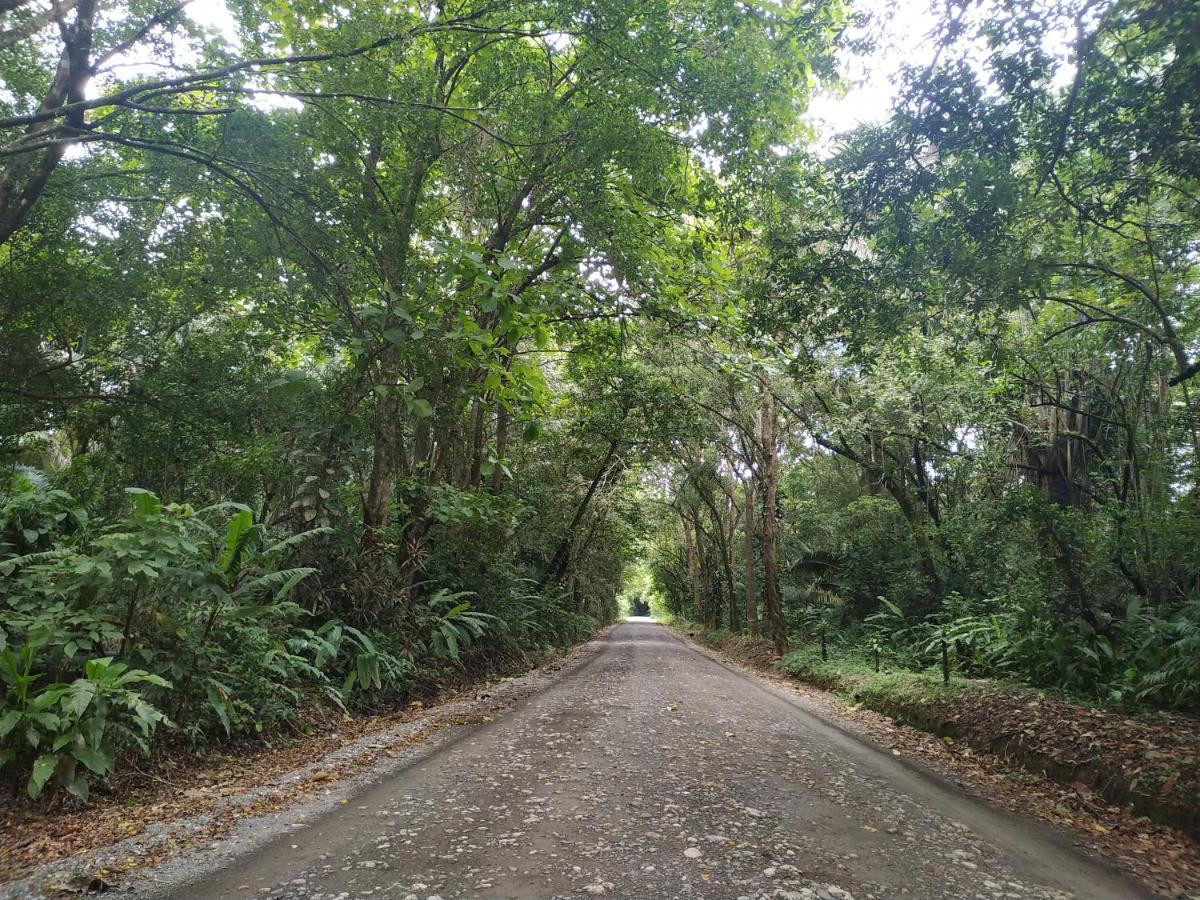 Four Monkeys Eco Lodge Jungle & Beach - The House Cabo Matapalo Buitenkant foto