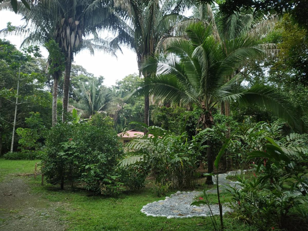 Four Monkeys Eco Lodge Jungle & Beach - The House Cabo Matapalo Buitenkant foto