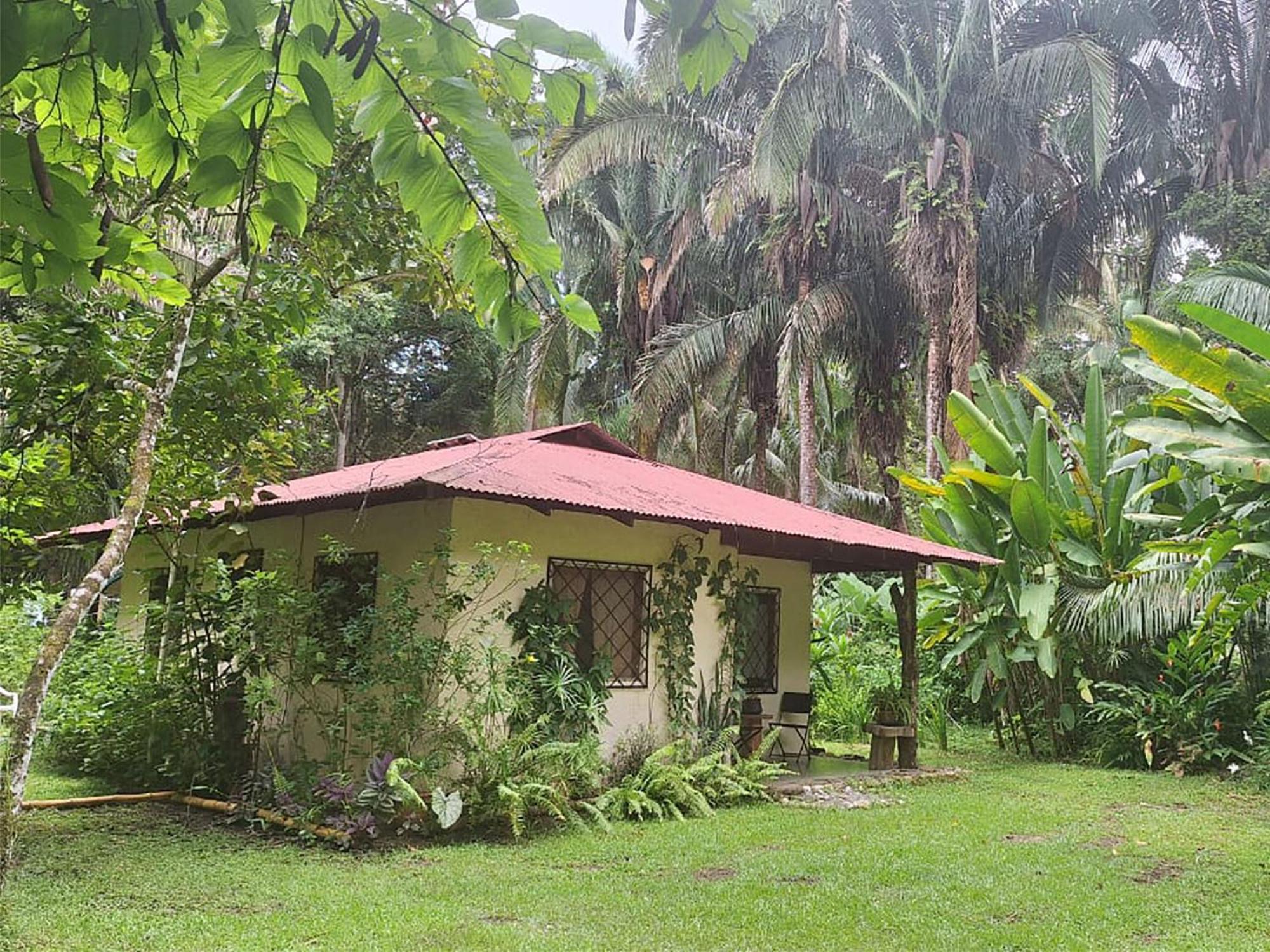 Four Monkeys Eco Lodge Jungle & Beach - The House Cabo Matapalo Buitenkant foto