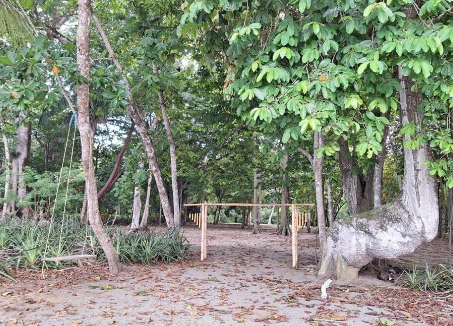 Four Monkeys Eco Lodge Jungle & Beach - The House Cabo Matapalo Buitenkant foto