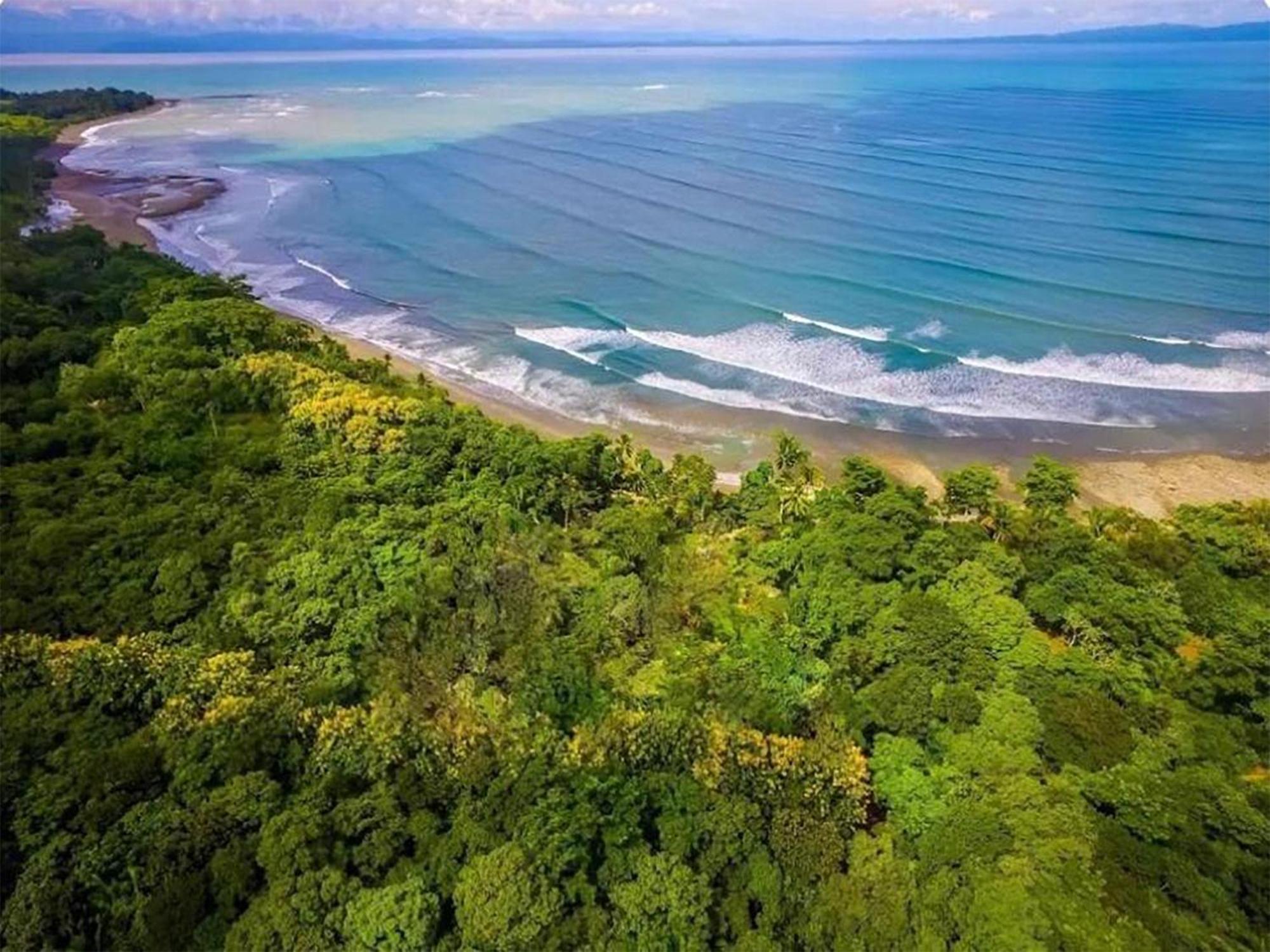 Four Monkeys Eco Lodge Jungle & Beach - The House Cabo Matapalo Buitenkant foto