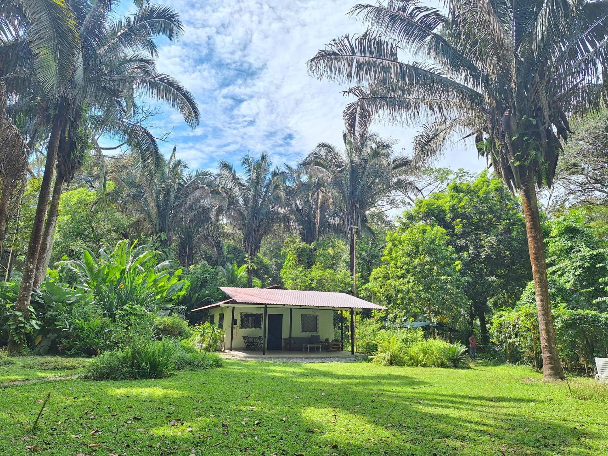 Four Monkeys Eco Lodge Jungle & Beach - The House Cabo Matapalo Buitenkant foto