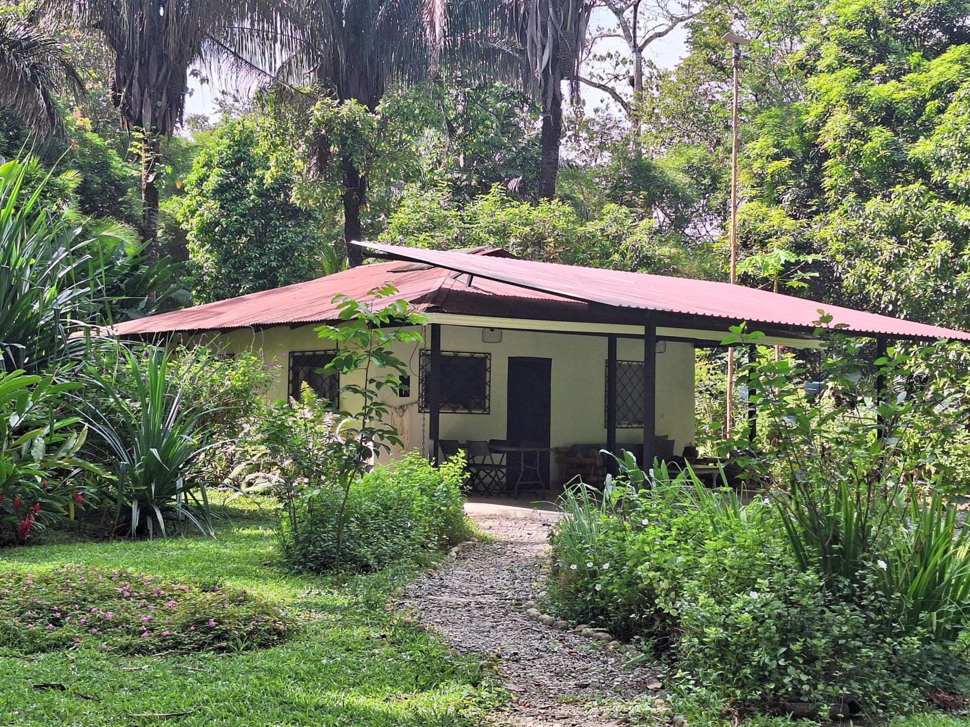 Four Monkeys Eco Lodge Jungle & Beach - The House Cabo Matapalo Buitenkant foto